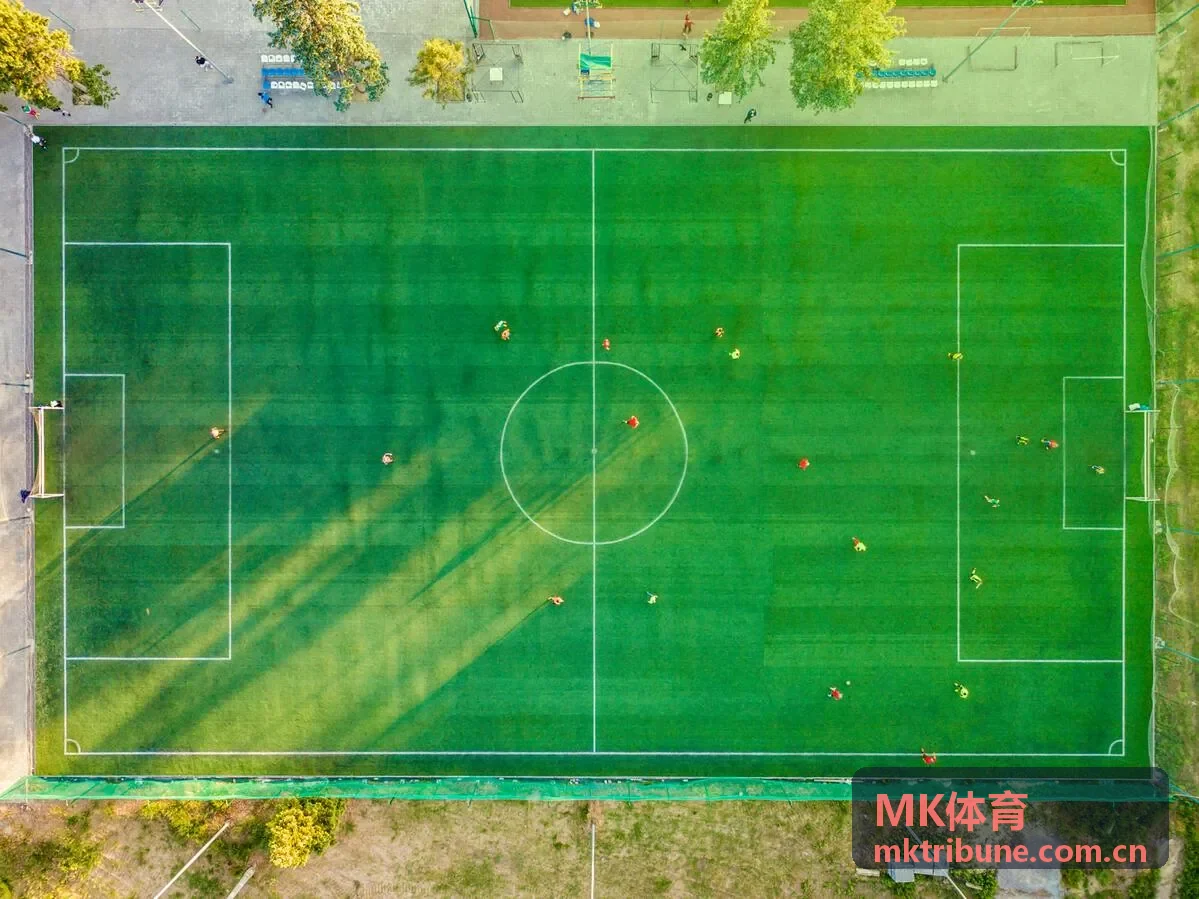 MK体育专题观察中的体育场景